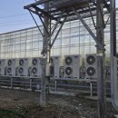 상업용 35 이미지