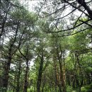 백운계곡둘레길 이미지