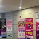 충청남도평생교육원 | 충남평생교육원 바우처로 탕정 필라테스 시작! 아산 영스 필라테스 바레 수업 후기