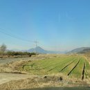 청용농장2 이미지