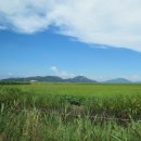 클럽 poc 이미지