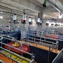 밀양축산 이미지