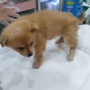 삼남면행정복지센터 이미지