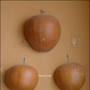 황토건강목욕탕 이미지