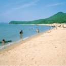 동막농장 이미지