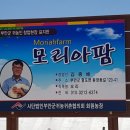 종배농장 네이버블로그