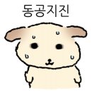 빙스낵 네이버블로그