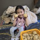 선향농장 이미지