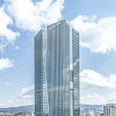 더레드크로스