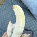 내이름은꼬마김밥