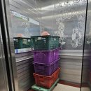 대상용달