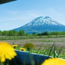 봉사의 첫걸음은 일본어로~ 이미지