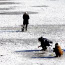 [생태체험] 명지철새탐조대 - 4월 28일(일) 오후 | ⊙ 청개구리 추천하는 12월 야경 낙조 철새 여행