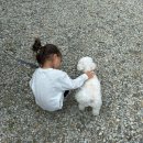 캠핑홀리데이 성주오토캠핑장 | 아이, 반려견과 함께 가기 좋은 경북 캠핑장 – 성주자연오토캠핑장 후기