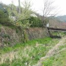 신원1리 이미지