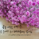 공캘리그라피 이미지