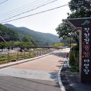 GS25 울산작천정점 | 울산캠핑장 작천정별빛야영장 지켜야 할 이용수칙 100%이용팁