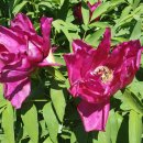 대정행정사사무소 이미지