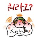 쥬씨앤차얌 - 철원군 삼부연로 11 | 쥬씨앤차얌