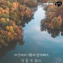 이지트로닉스 스코넥엔터테인먼트 공모주 매도 후기