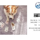 인덕원동물의료센터 이미지