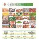 초계시장 이미지