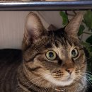 연광초등 이미지