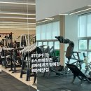 탑핏 피티스튜디오 이미지