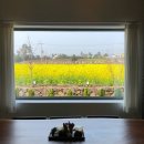 인제주코티지 이미지