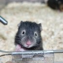 (주)폴리모프 이미지