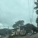 클린타임 | [강원/홍천] 홍천 소노펠리체 비발디파크 실버 파크뷰 침대/클린 숙박후기, 소노펠리체에서 오션월드