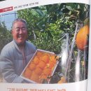 왕눈이농장 이미지