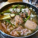 시골닭 농장 | 광명 닭도리탕 닭백숙 오리백숙 맛집 애기능 농장 내돈내산 후기