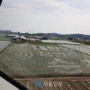 순천만 뜰 이미지