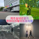 제주 실내관광지 추천, 한라디지털아트뮤지엄 방문 후기
