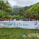 시화전 이미지