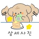 불종거리로-1 이미지