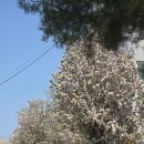 새마을금고 대명3동지점 앞 | D+63 :D 새마을금고 말띠적금 헛걸음한 후기