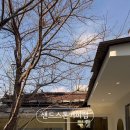 sandstone coffee lab 이미지