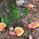 신북우체국 이미지