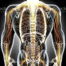 써밋스포츠 이미지