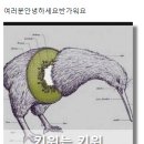 23, 24, 25, 26일차 css 포토샵 이미지