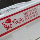 한마음국밥 | 여수갓김치택배, 맛있는 여수돌갓김치 한마음갓김치 구매 후기