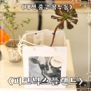 대전화분원예농원