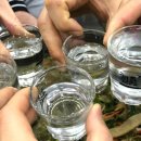 양천골 용대리 황태세상 이미지