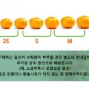 나영농장 이미지