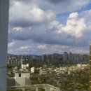 신강상회 | C2025-1