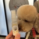 운정 멍발소 이미지