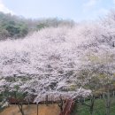 공주교육대학교 박물관 이미지