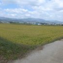 포항시북구70 이미지